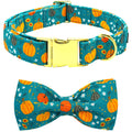 Autumn Pumpkin Print Adjustable Dog Collar