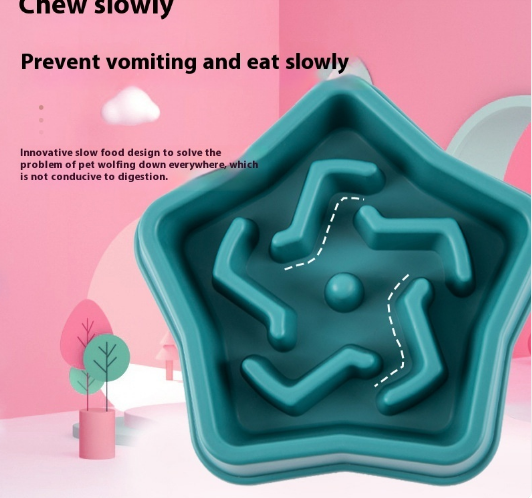 Slow Feed Pet Bowl