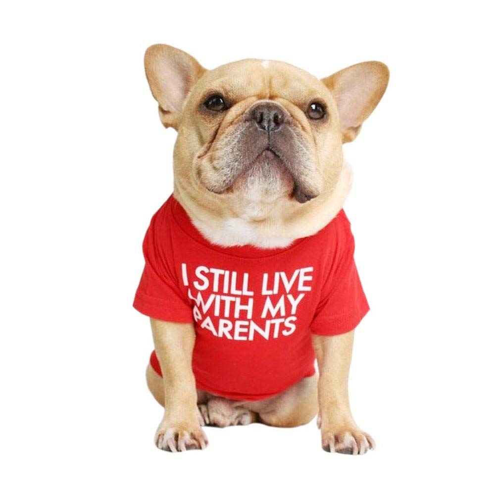 French Bulldog Breathable Tee